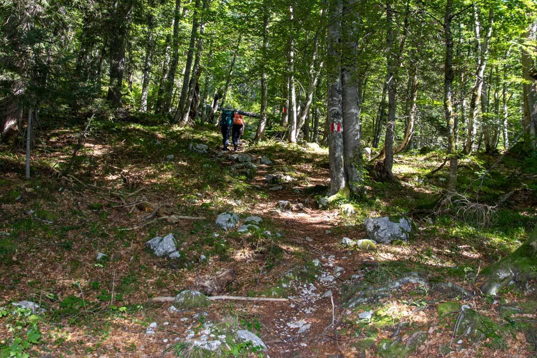 Wanderung auf den Plassen 1953m