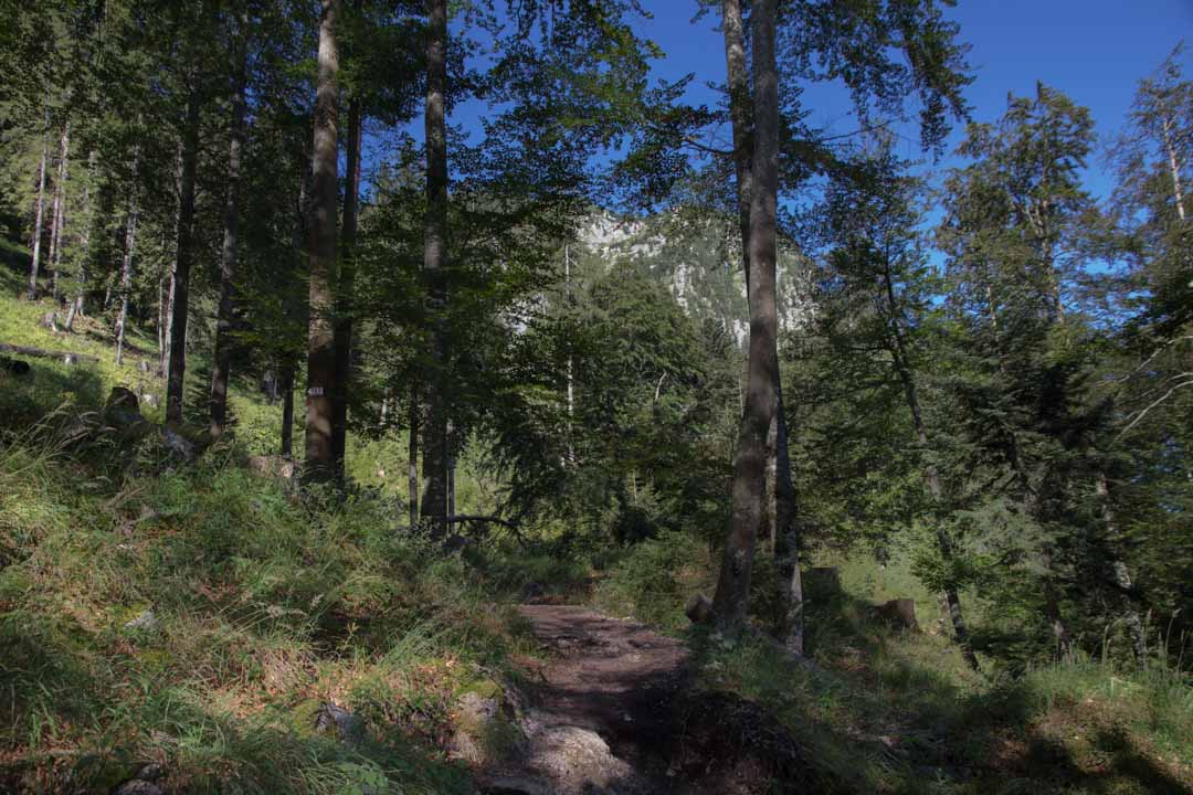 Wanderung vom Offensee auf den Rinnerkogel