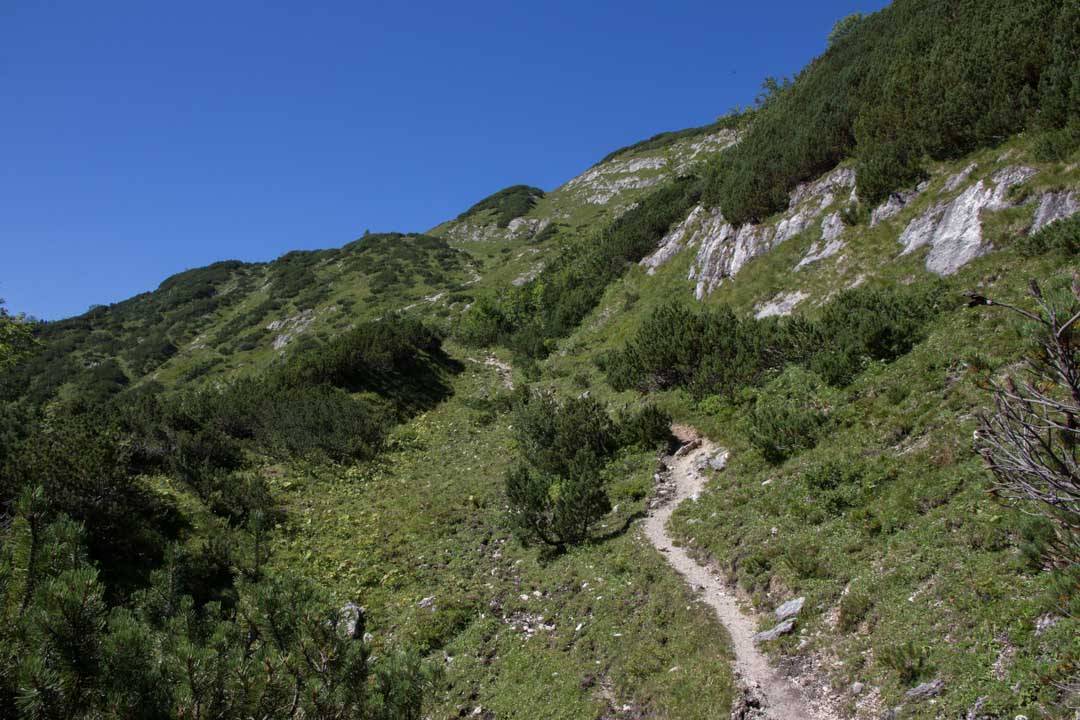 Wanderung vom Offensee auf den Rinnerkogel