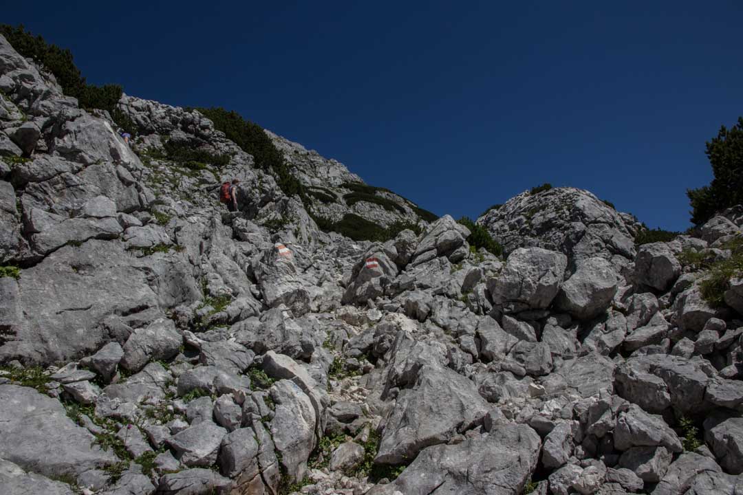 Wanderung vom Offensee auf den Rinnerkogel