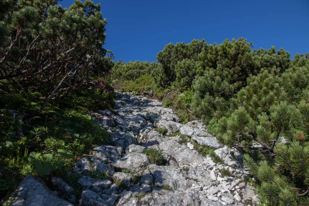 Wanderung auf den Sandling 1717m