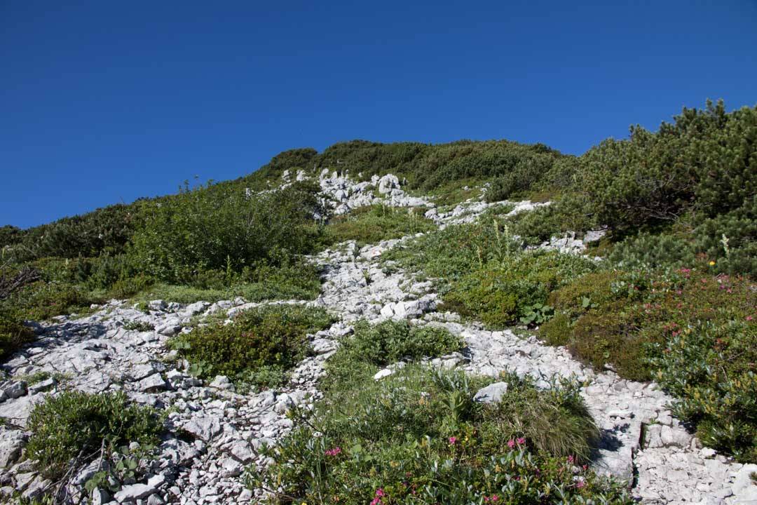 Wanderung auf den Sandling 1717m