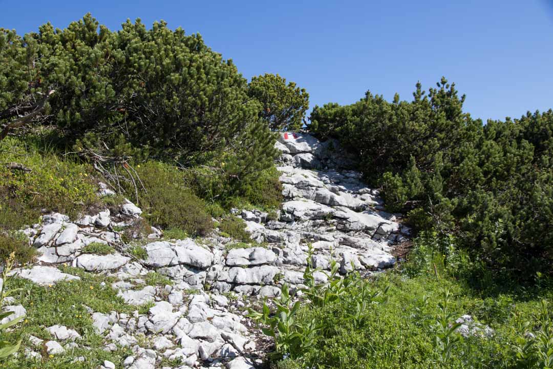 Wanderung auf den Sandling 1717m