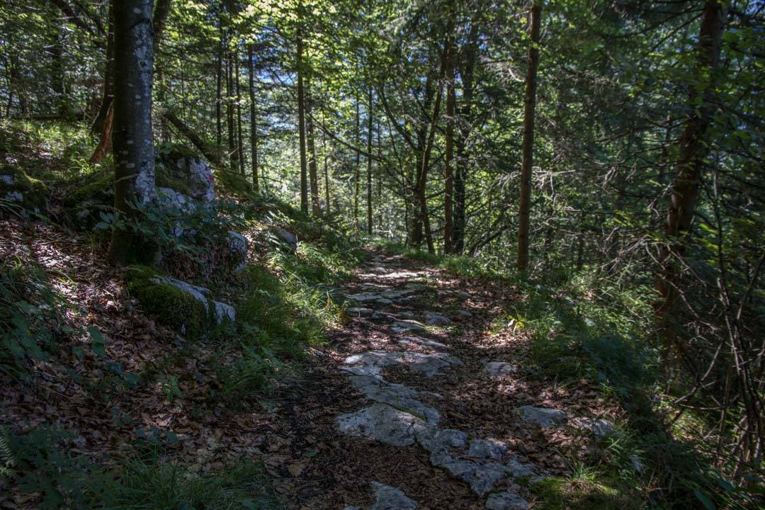 Hoher Sarstein Überschreitung