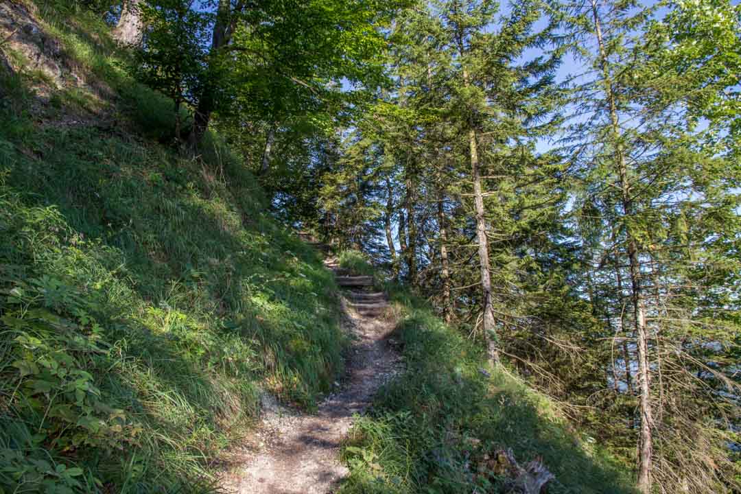 Wanderung Zum Schafberg über Himmelspforte und Abstieg über Purtschellersteig