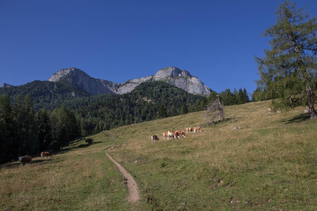 Wanderung Zum Schafberg über Himmelspforte und Abstieg über Purtschellersteig