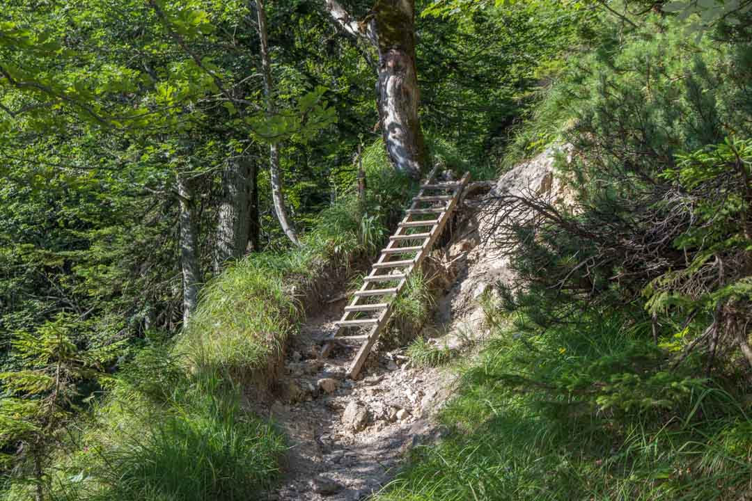 Wanderung Zum Schafberg über Himmelspforte und Abstieg über Purtschellersteig