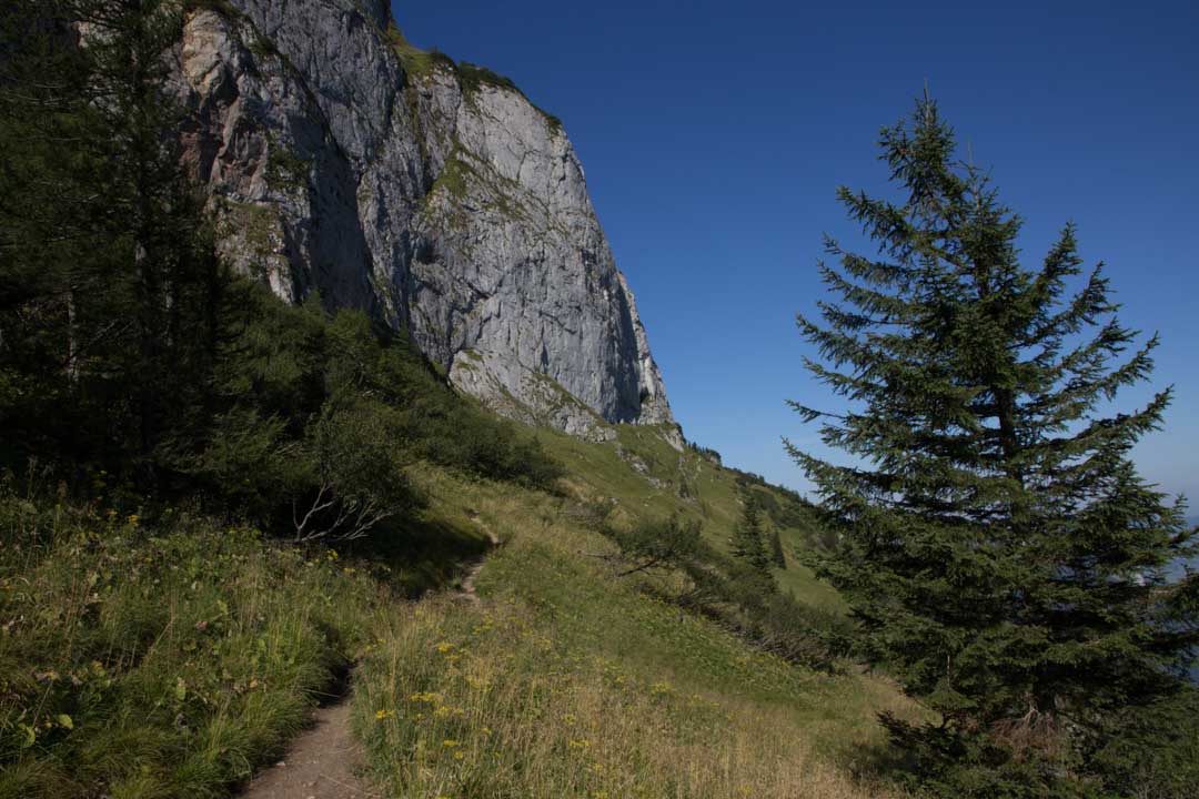 Wanderung Zum Schafberg über Himmelspforte und Abstieg über Purtschellersteig