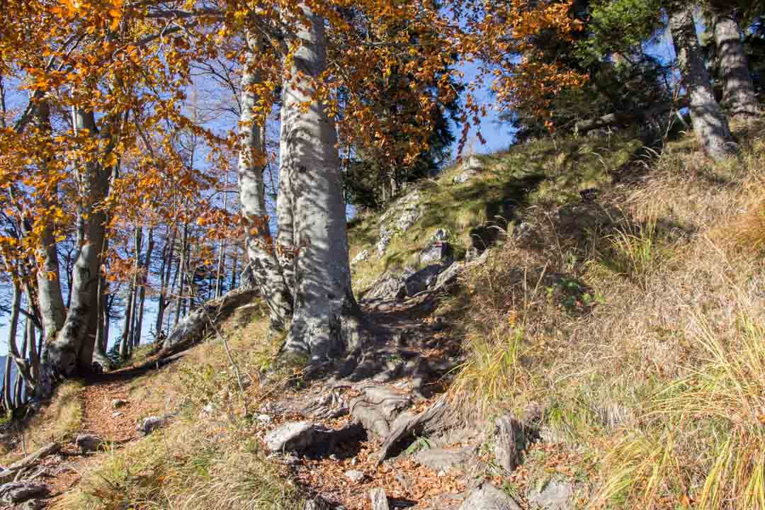 Wanderung zum kleinen Schoberstein, Madlgupf und Dachsteinblick