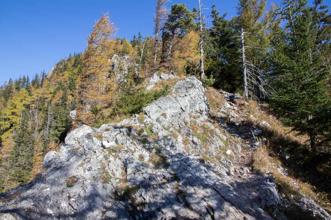 Wanderung zum kleinen Schoberstein, Madlgupf und Dachsteinblick