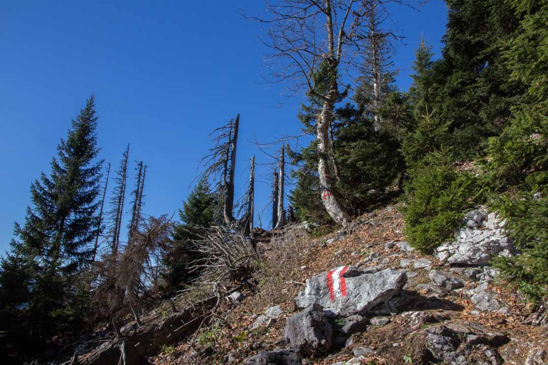 Wanderung zum kleinen Schoberstein, Madlgupf und Dachsteinblick