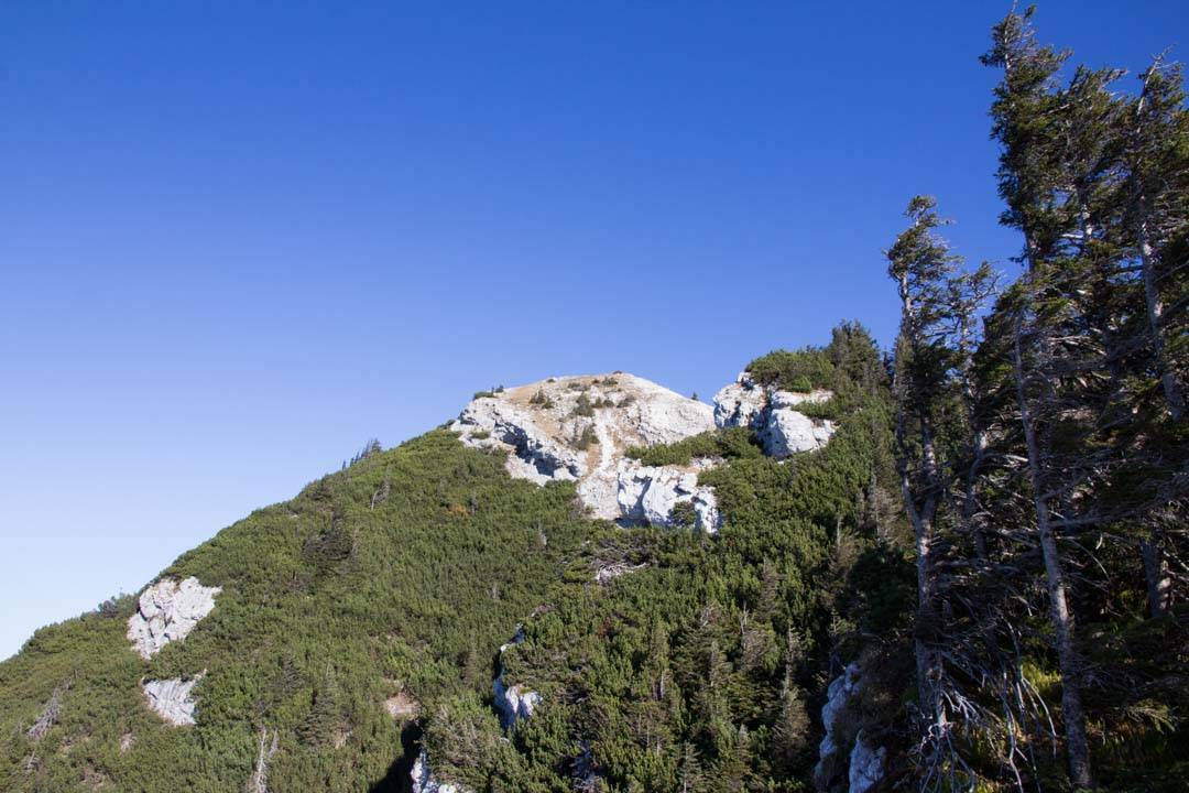 Wanderung zum kleinen Schoberstein, Madlgupf und Dachsteinblick