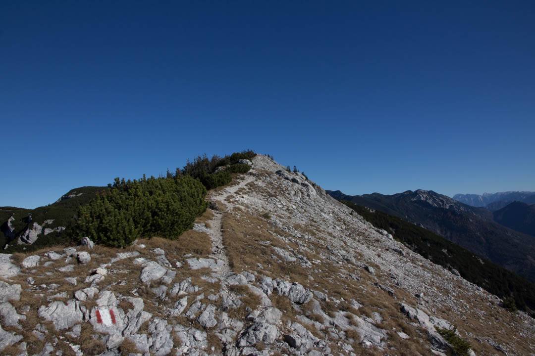 Wanderung zum kleinen Schoberstein, Madlgupf und Dachsteinblick