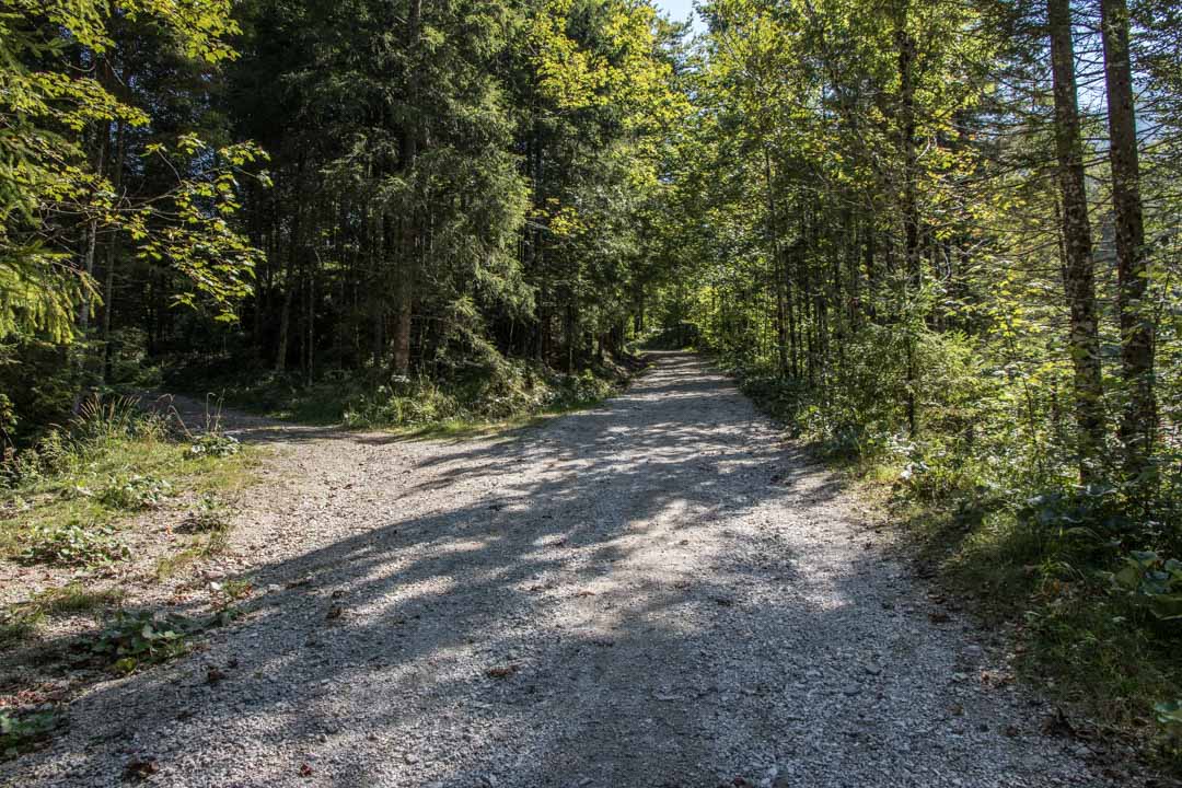 Wanderung auf den großen Schönberg