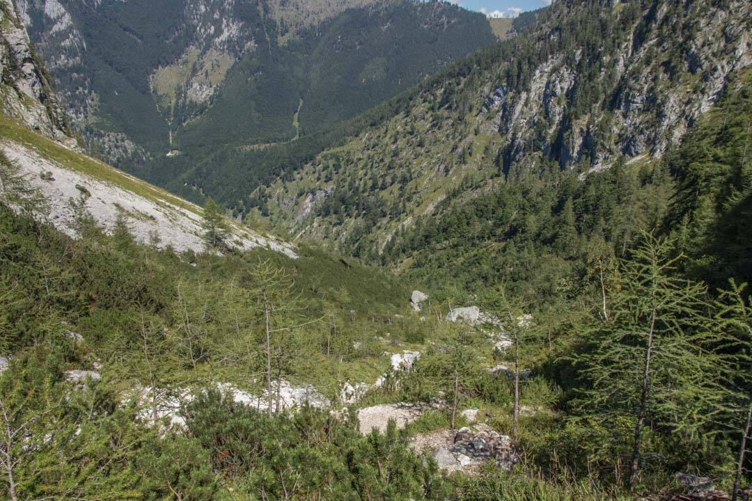 Wanderung auf den großen Schönberg