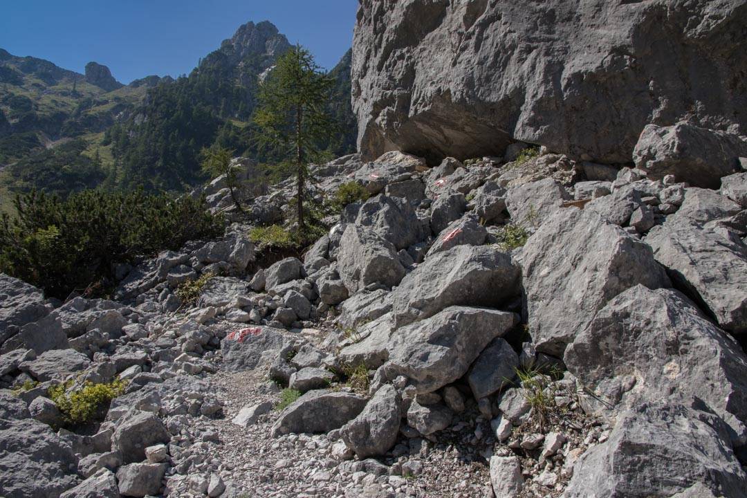 Wanderung auf den großen Schönberg