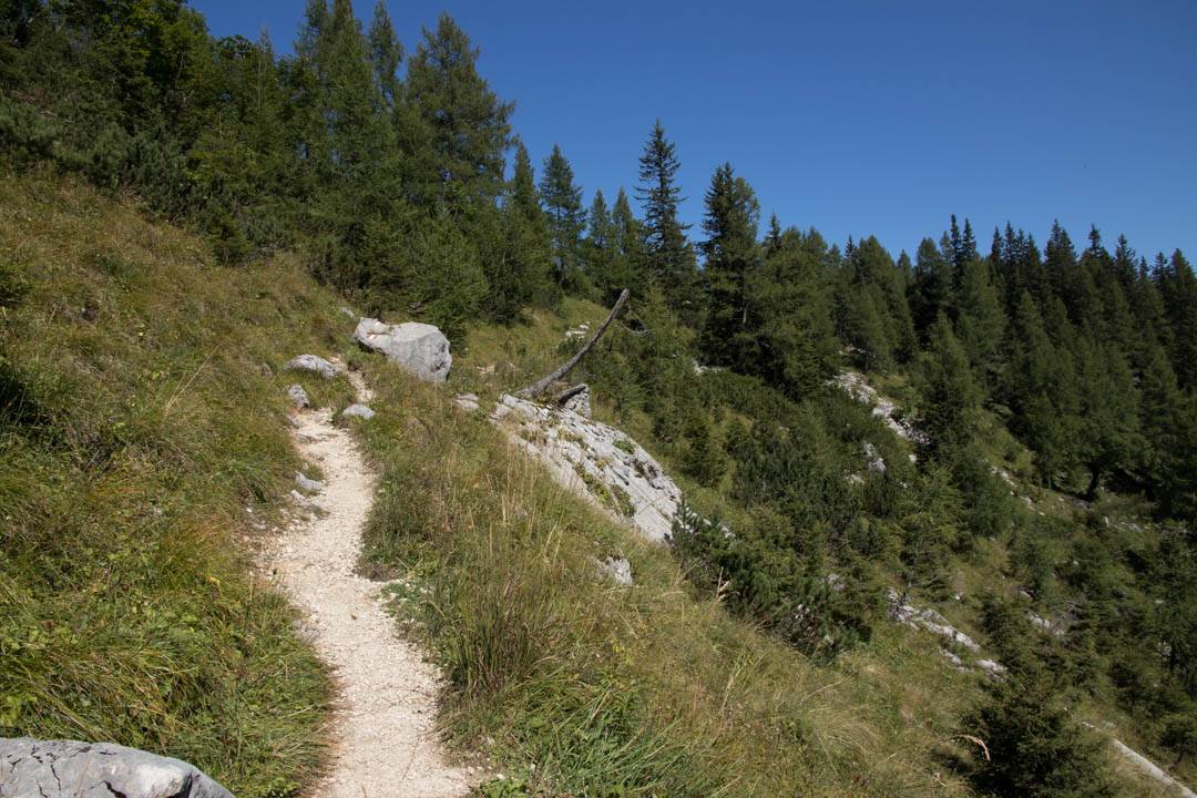 Wanderung auf den großen Schönberg