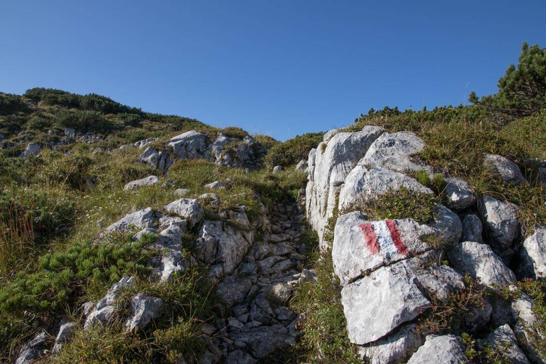 Wanderung auf den großen Schönberg