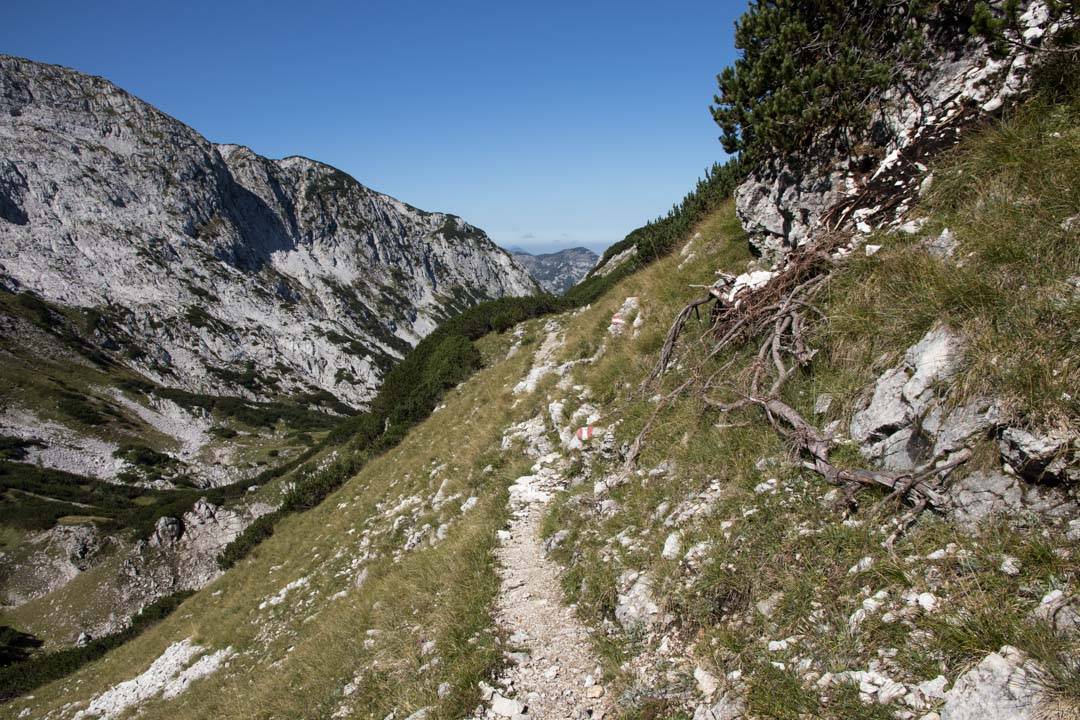 Wanderung auf den großen Schönberg