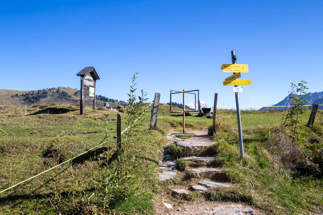 Thorhöhe - Wieslerhorn
