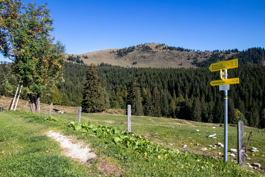 Thorhöhe - Wieslerhorn