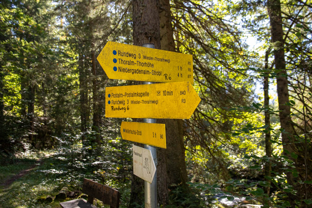 Thorhöhe - Wieslerhorn