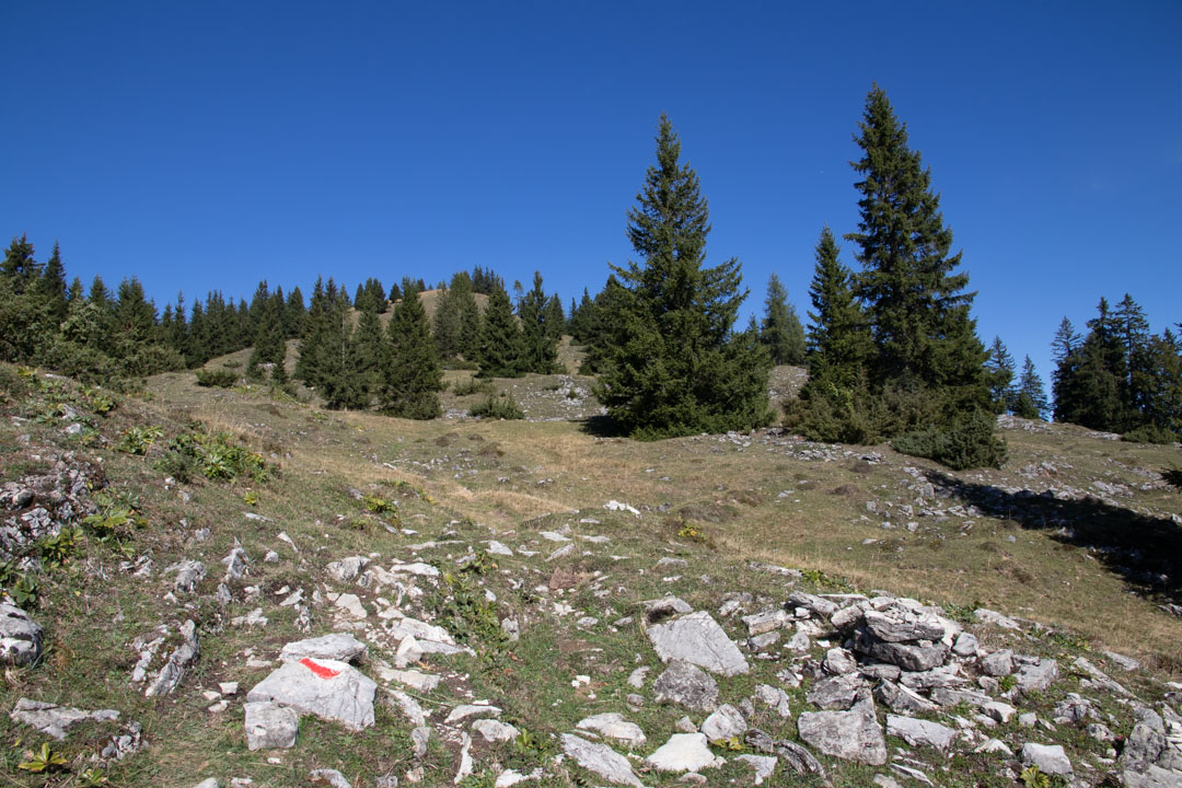 Thorhöhe - Wieslerhorn