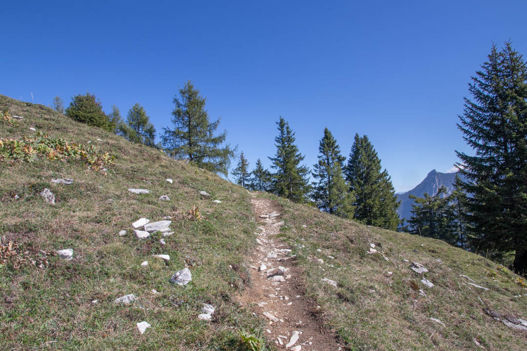 Thorhöhe - Wieslerhorn
