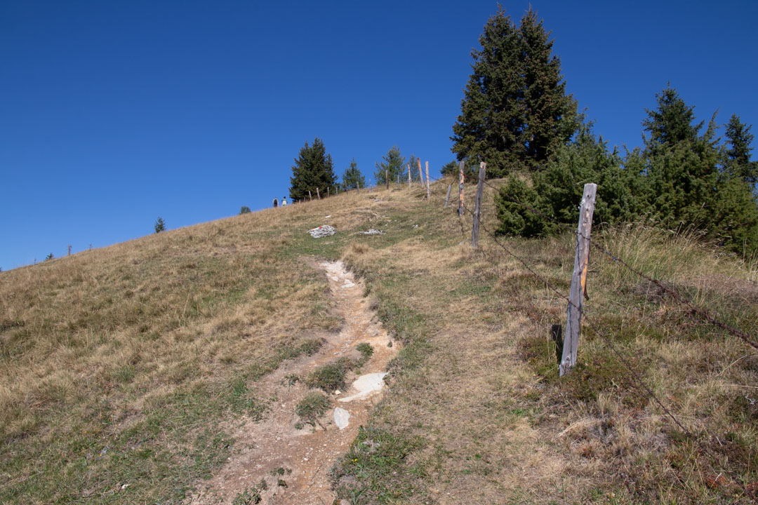 Thorhöhe - Wieslerhorn