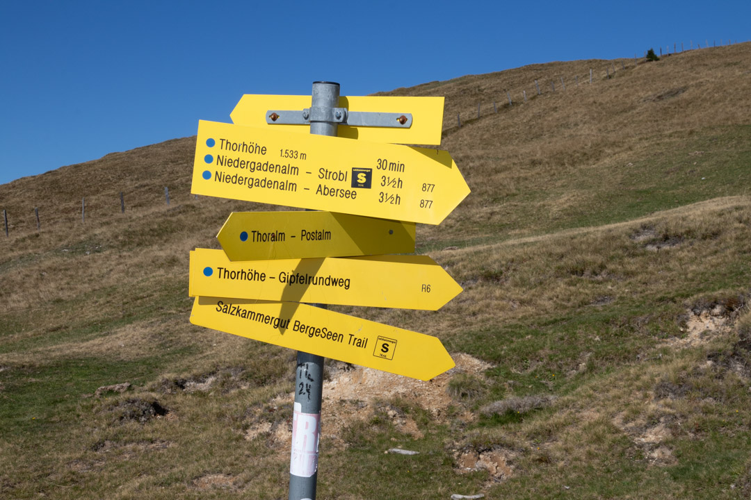 Thorhöhe - Wieslerhorn