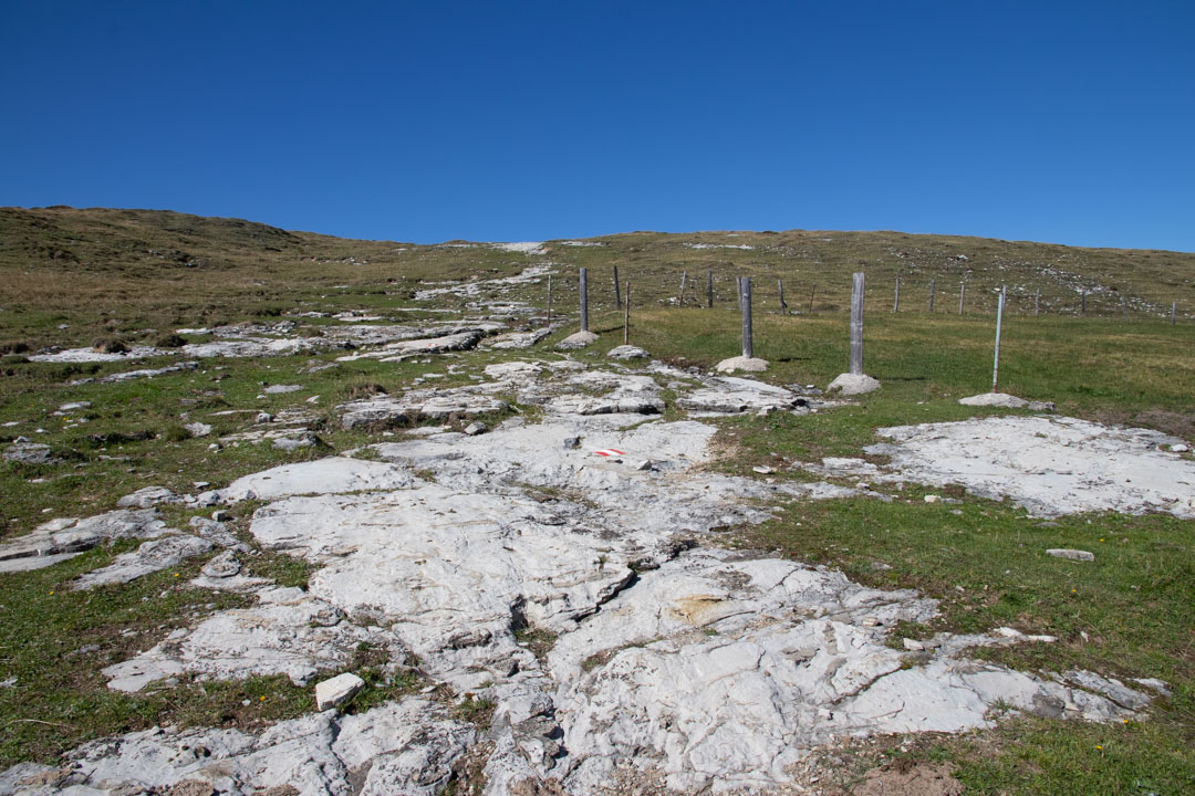 Thorhöhe - Wieslerhorn