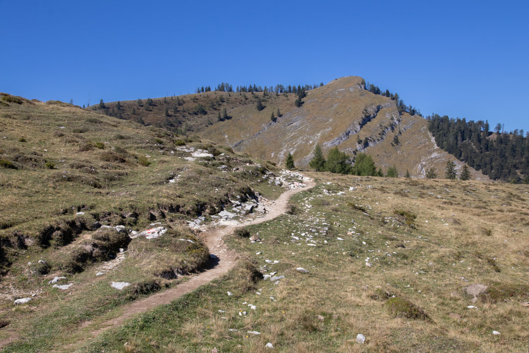 Thorhöhe - Wieslerhorn