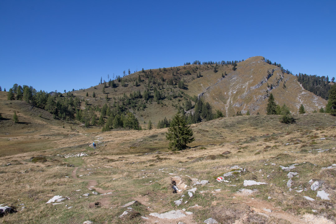 Thorhöhe - Wieslerhorn