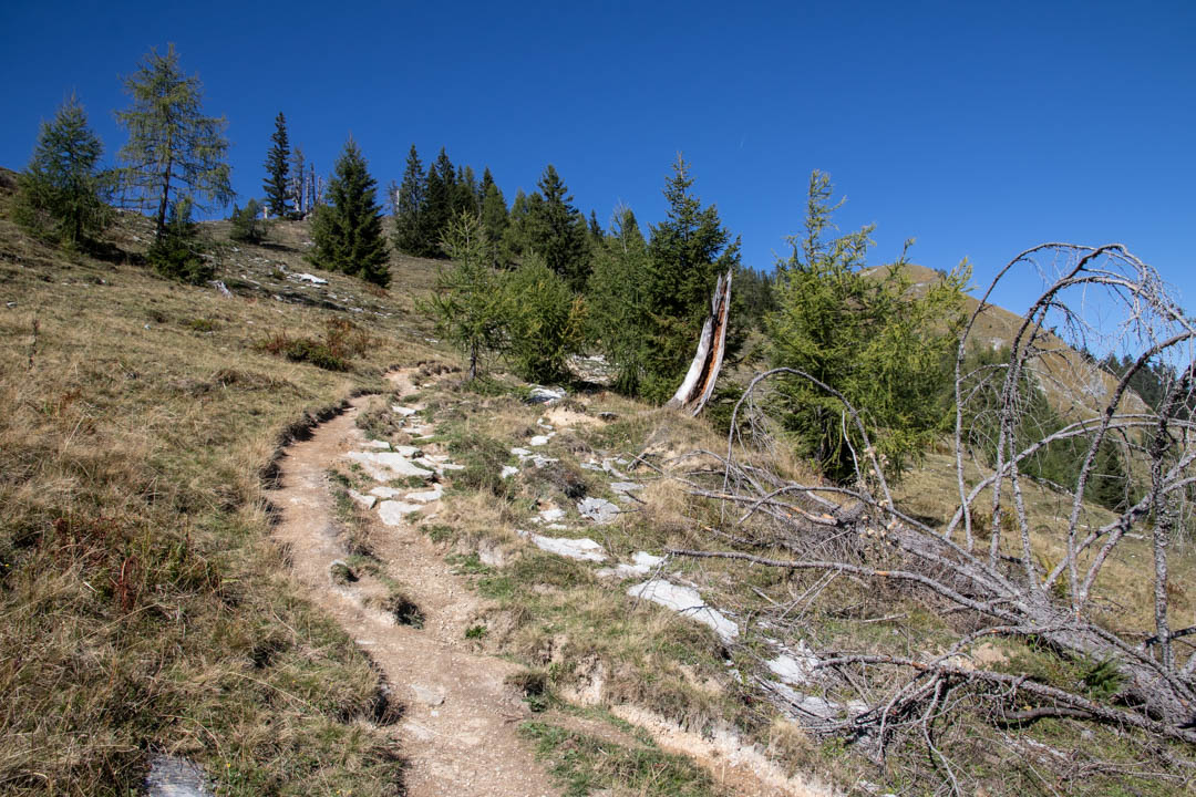 Thorhöhe - Wieslerhorn