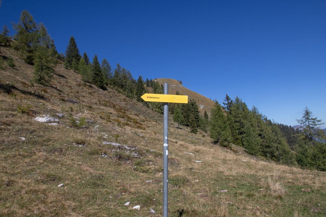 Thorhöhe - Wieslerhorn
