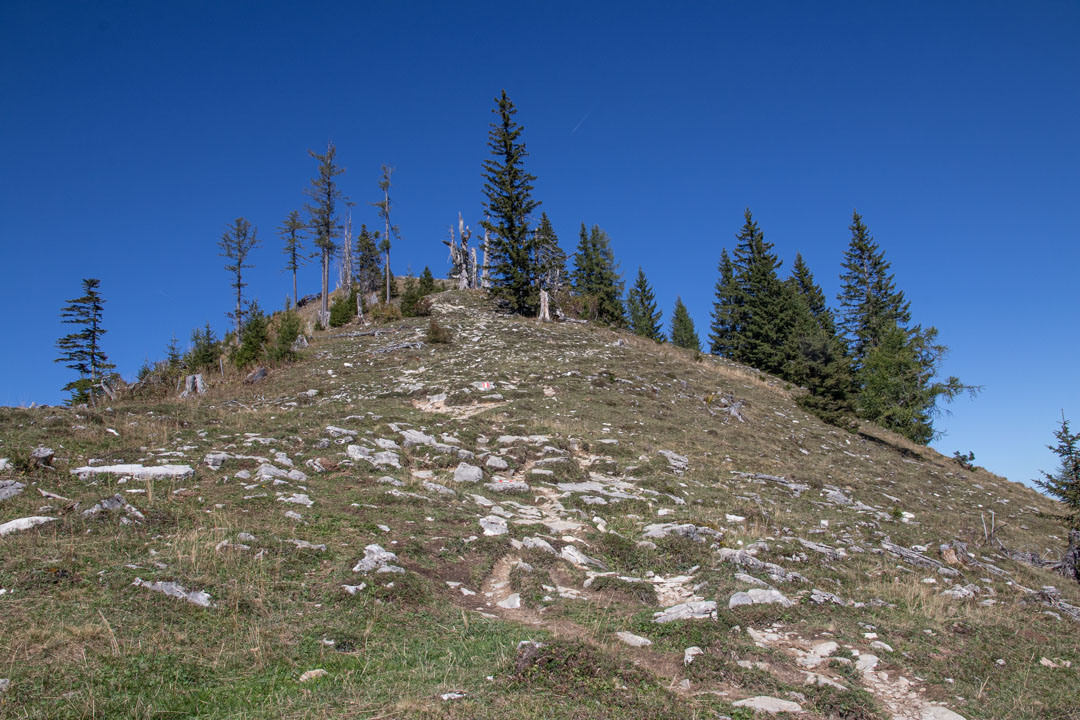 Thorhöhe - Wieslerhorn