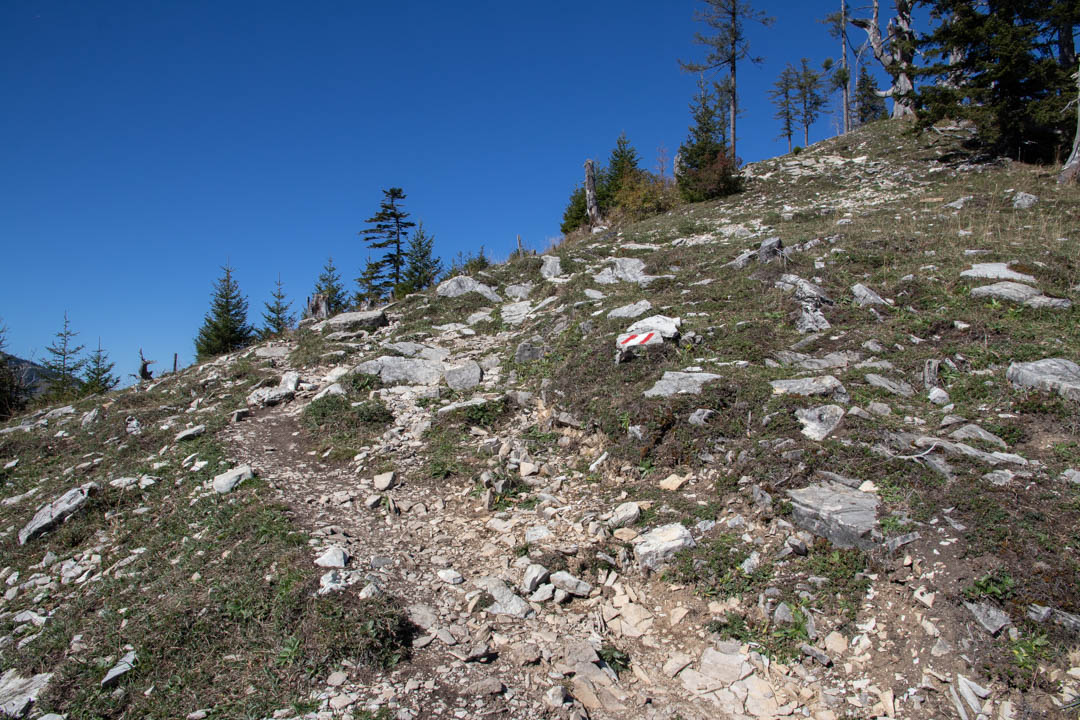Thorhöhe - Wieslerhorn
