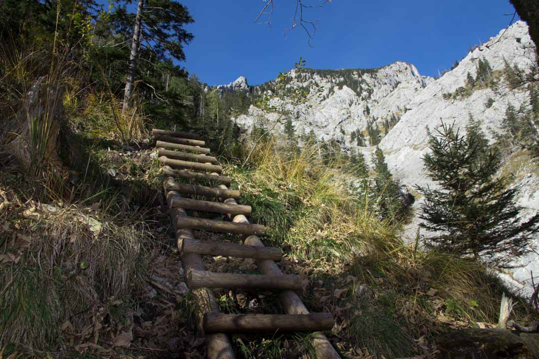 Wanderung auf den Traunstein (1691m) über den Mairalmsteig