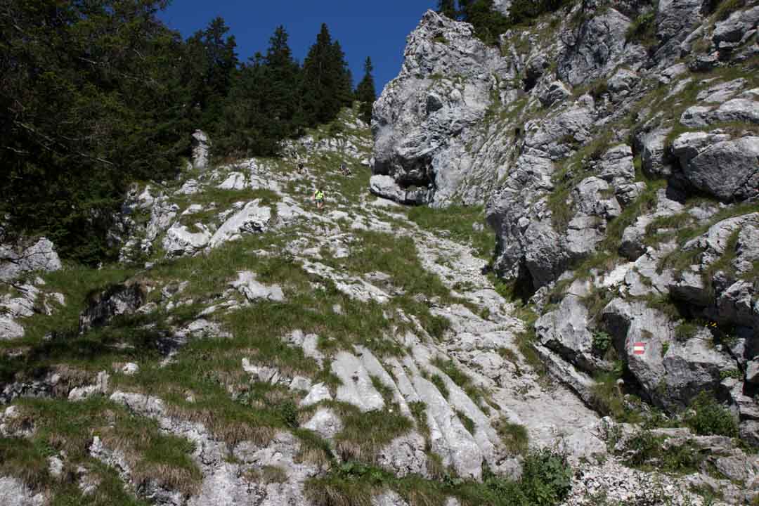 Wanderung auf den Traunstein (1691m) über den Mairalmsteig