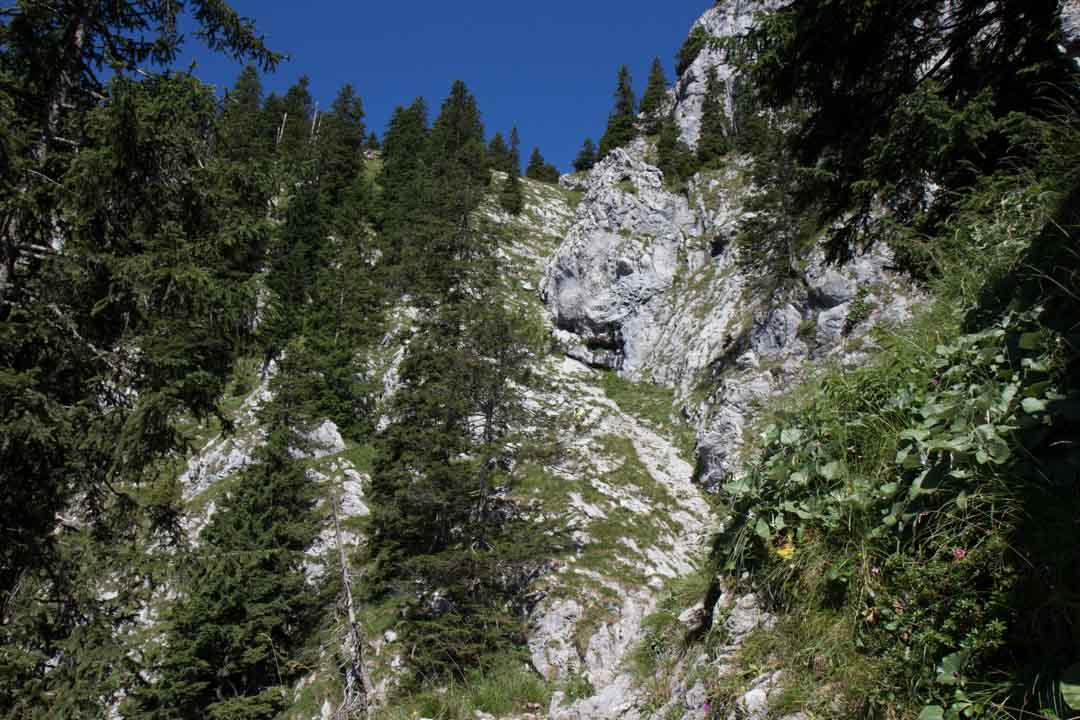 Wanderung auf den Traunstein (1691m) über den Mairalmsteig
